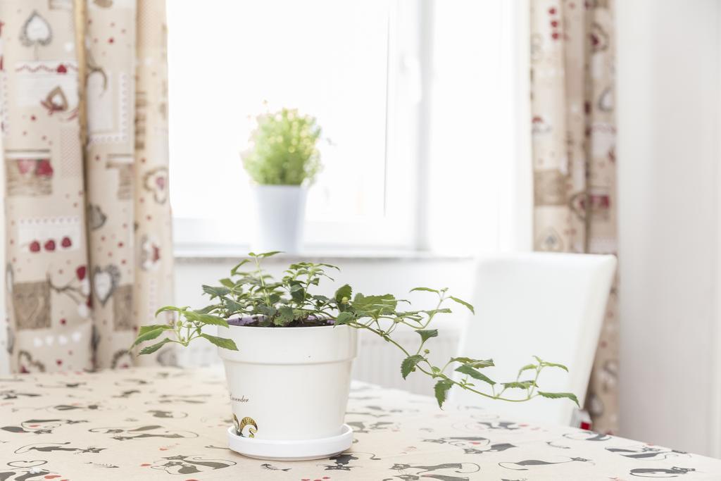E&E Apartments ليوبليانا الغرفة الصورة